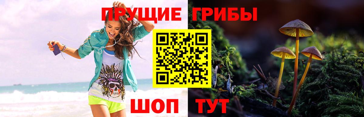 Псилоцибиновые грибы Magic Shrooms Усинск